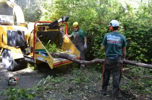 tree services Quail Ridge